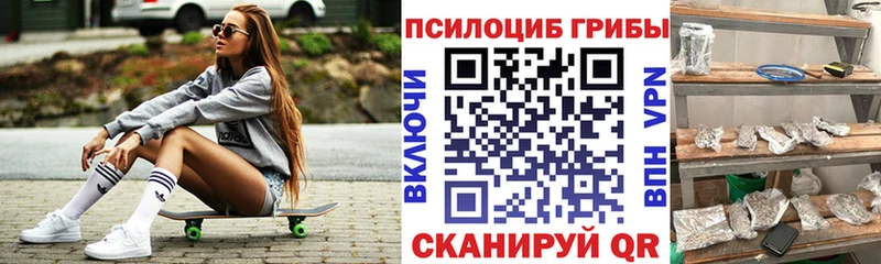 Галлюциногенные грибы Magic Shrooms где продают наркотики kraken Гусиноозёрск